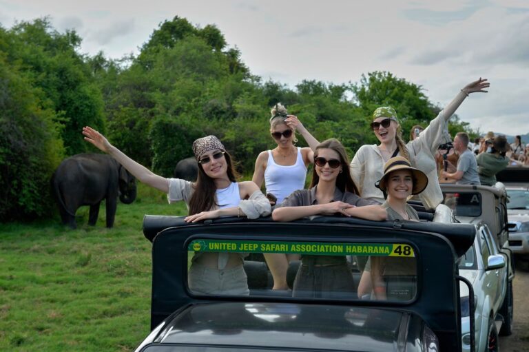 Czas na Safari!